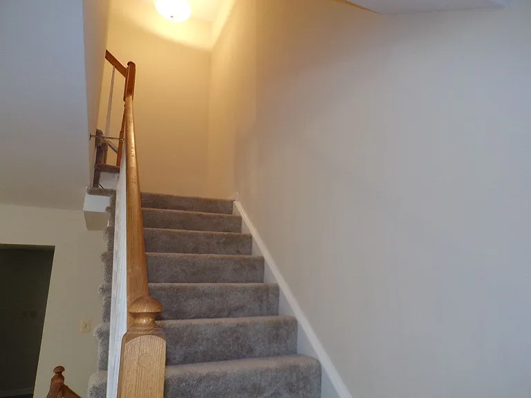 8305 Ridge Crossing Ln — Photo 11