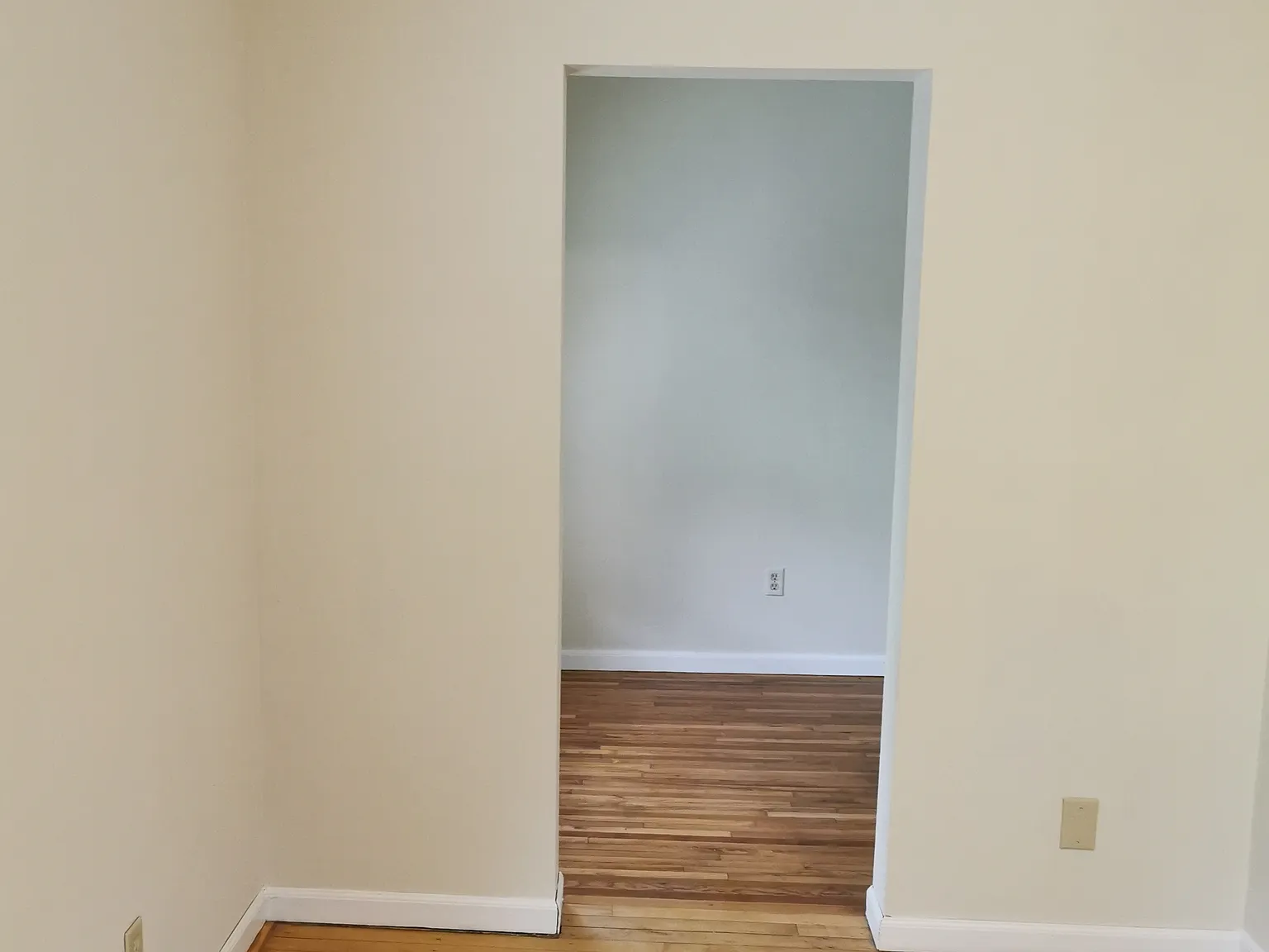 2 bed, 980 sqft, $1,250 — Photo 3