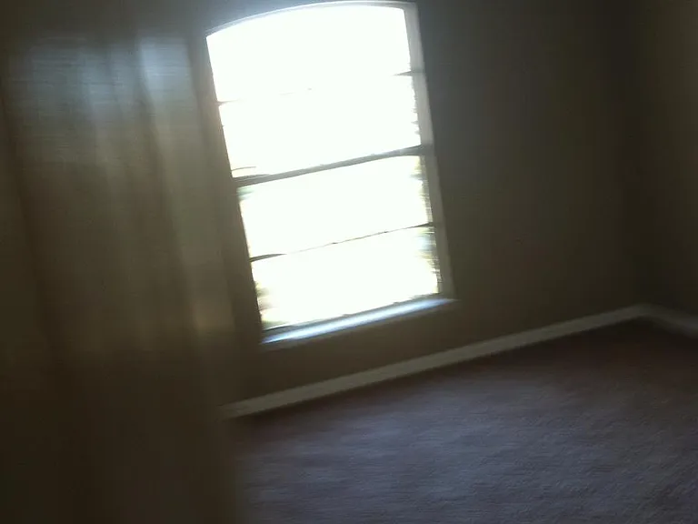 11603 Purple Lilac Cir — Photo 7
