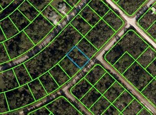 918 Cork Tree Rd, Lake Placid, FL 33852