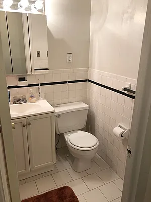 Rented by Native New York Real Estate Inc | media 7