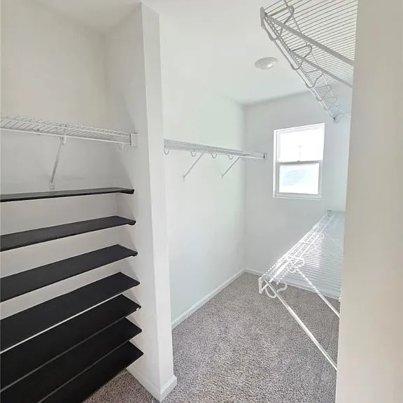 46 Marsh Salt Ln — Photo 15