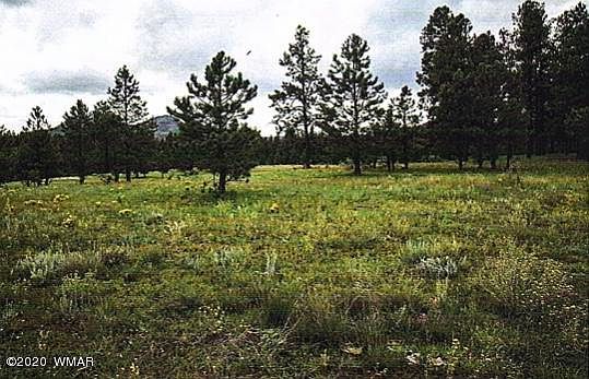 1st image of 2 County Road 2130