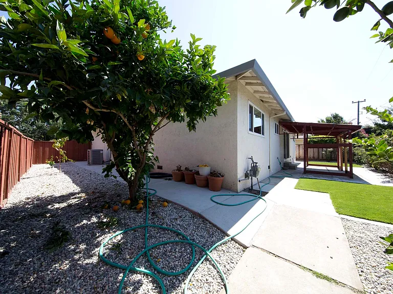 Back yard and Side yard with fruit trees