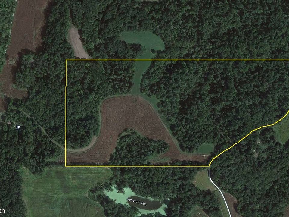 0 Beaver Lake Rd, Fieldon, IL 62031 MLS 11161111 Zillow