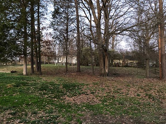 10712 Spruce Knob Backyard