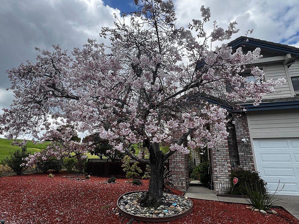 Spring in Canyon lakes, Frontside