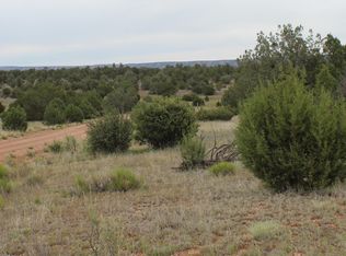 56041 N Potrero Pkwy, Seligman, AZ 86337