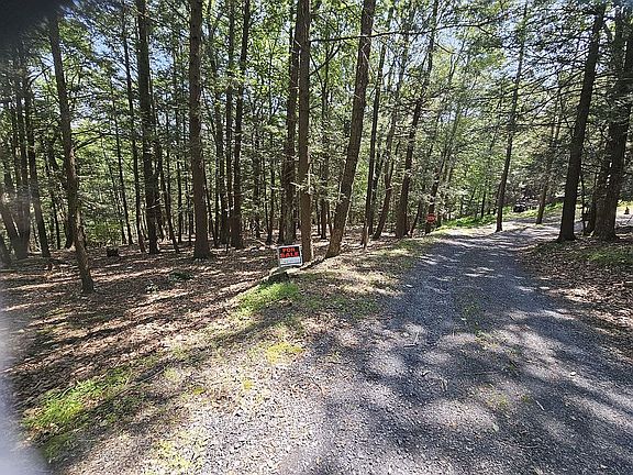 4th image of 6529 Moschella Ct