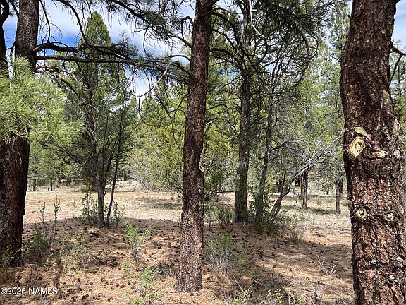 5th image of 6090 N Cliff Rose