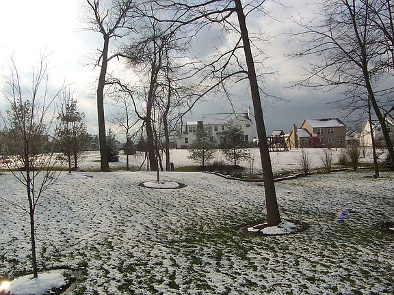 Park-Like Lot