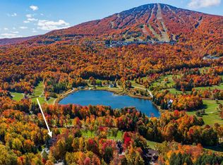 9 Stone House Rd, Bondville, VT 05340