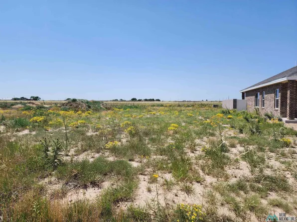 1825 Quail Wood Dr, Portales, NM 88130