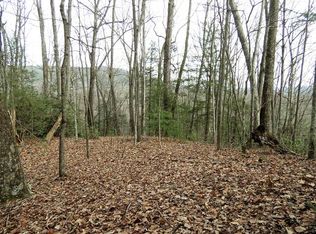LOT 2 Sonshine Ridge Rd, Cosby, TN 37722