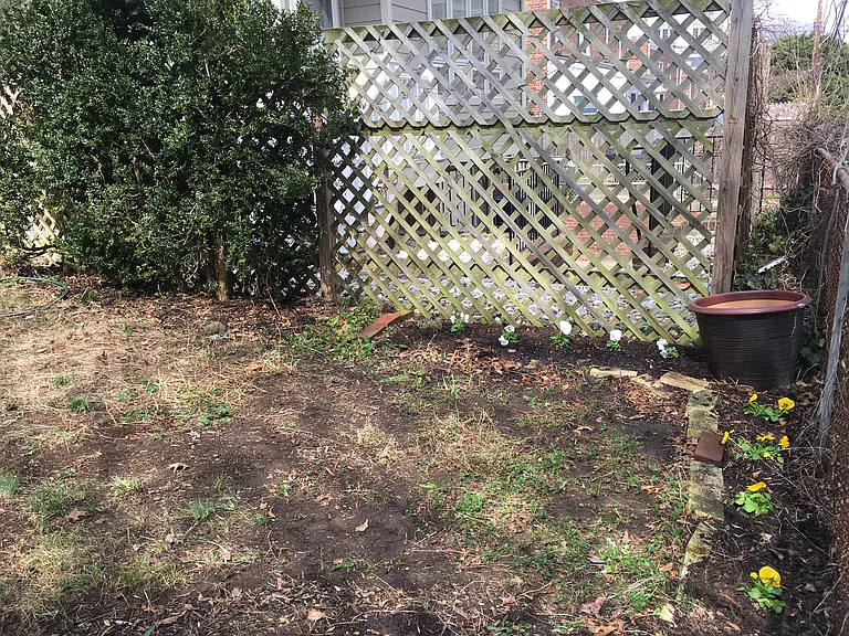 2728 Cortland Pl NW — Photo 13