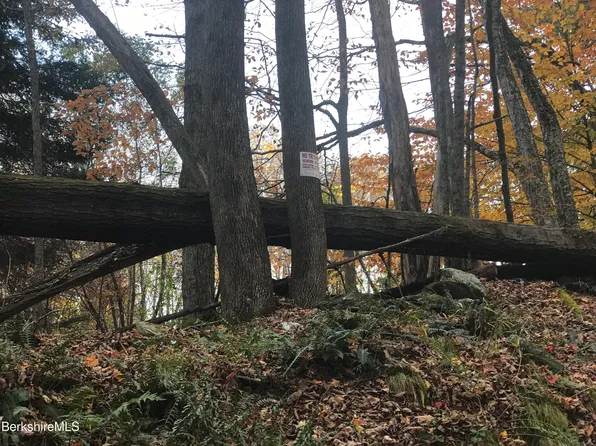Rosenberg Rd Lot 39, Lanesborough, MA 01237