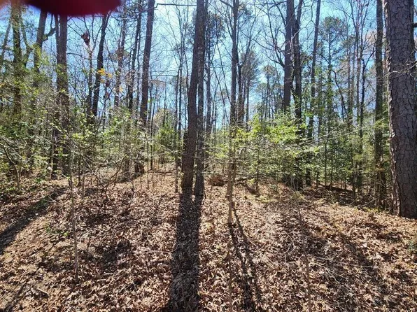 0 Zarpa Way, Hot Springs Village, AR 71909