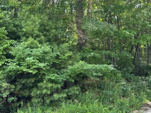 A Jurasic Drive, Cashiers, NC 28717