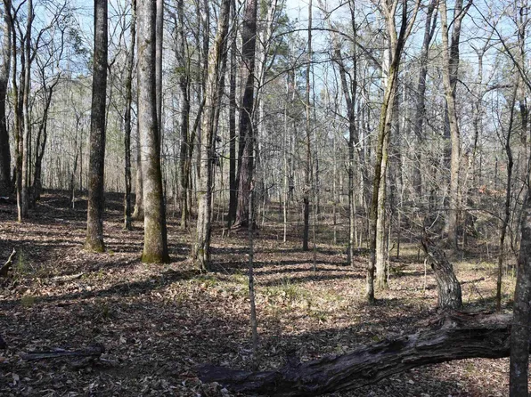 Coosa County Road 70 #0, Sylacauga, AL 35151