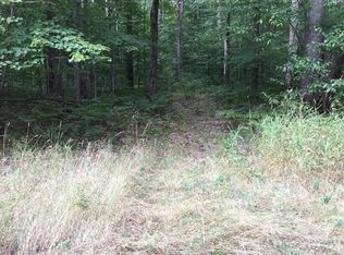 Lewis Rd, Vanderbilt, MI 49795