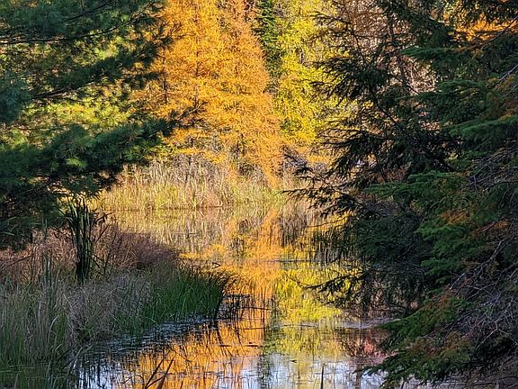 3rd image of 2315 Aspdin Rd