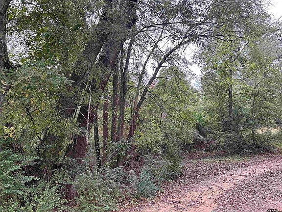3rd image of 5836 State Highway 155 S