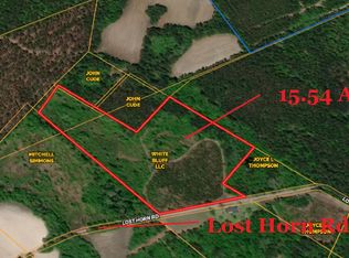 0 Lost Horn Rd, Branchville, SC 29432