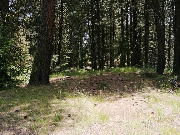 5th image of Tbd Star Claim Tract 2
