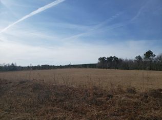 0 Turnpike Cemetery Rd, Mc Rae Helena, GA 31055