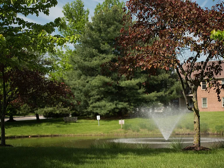 Abundant Green Space
