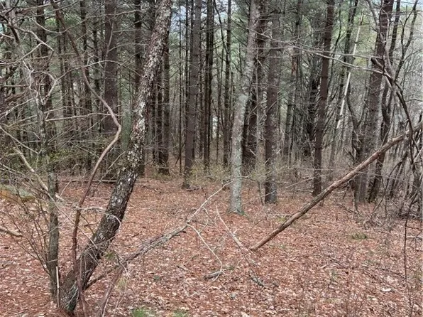 3 Speckled Drive, Laurel Springs, NC 28644