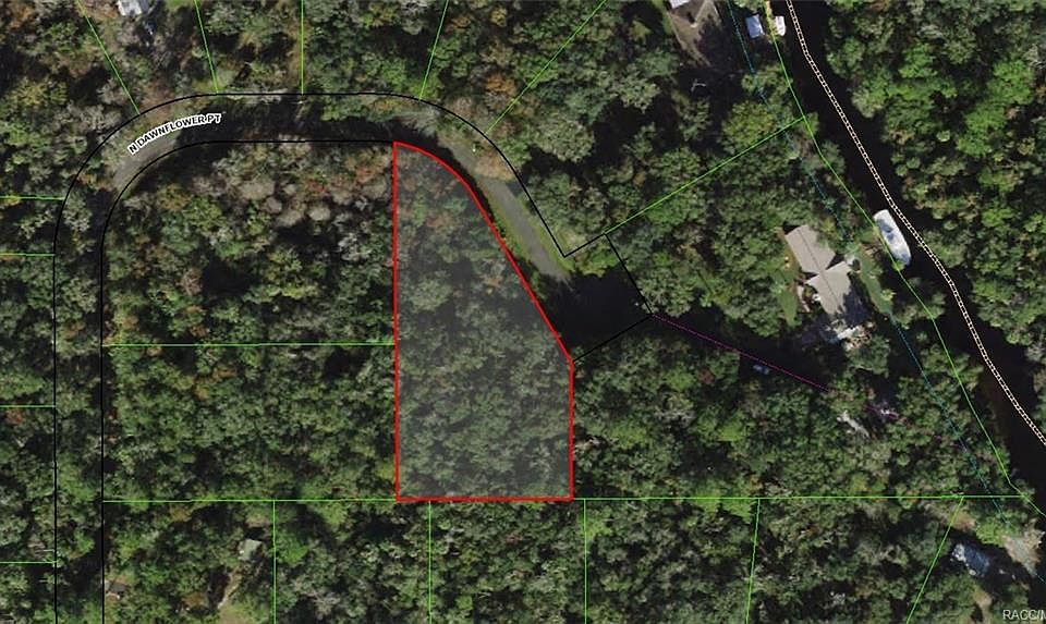 1st image of 10587 N Dawnflower Point