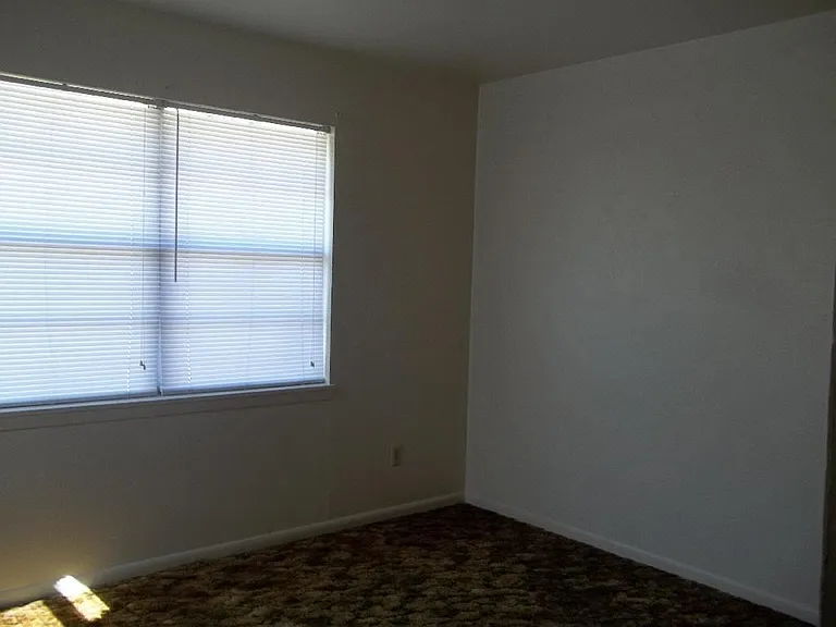 303 Margaret Lee St — Photo 8