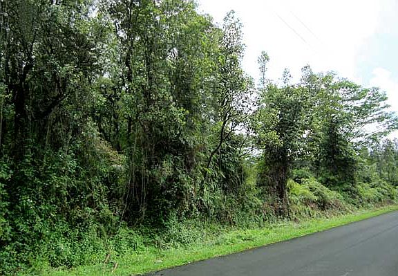 2nd image of 13-3487 Moku St Lot 5