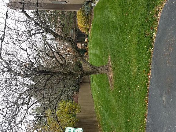 4th image of 2100 Brookhurst Ave