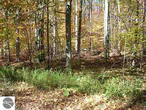 2nd image of 0 King Rd