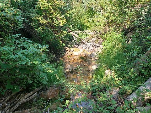 2nd image of 819 N Fork Rd