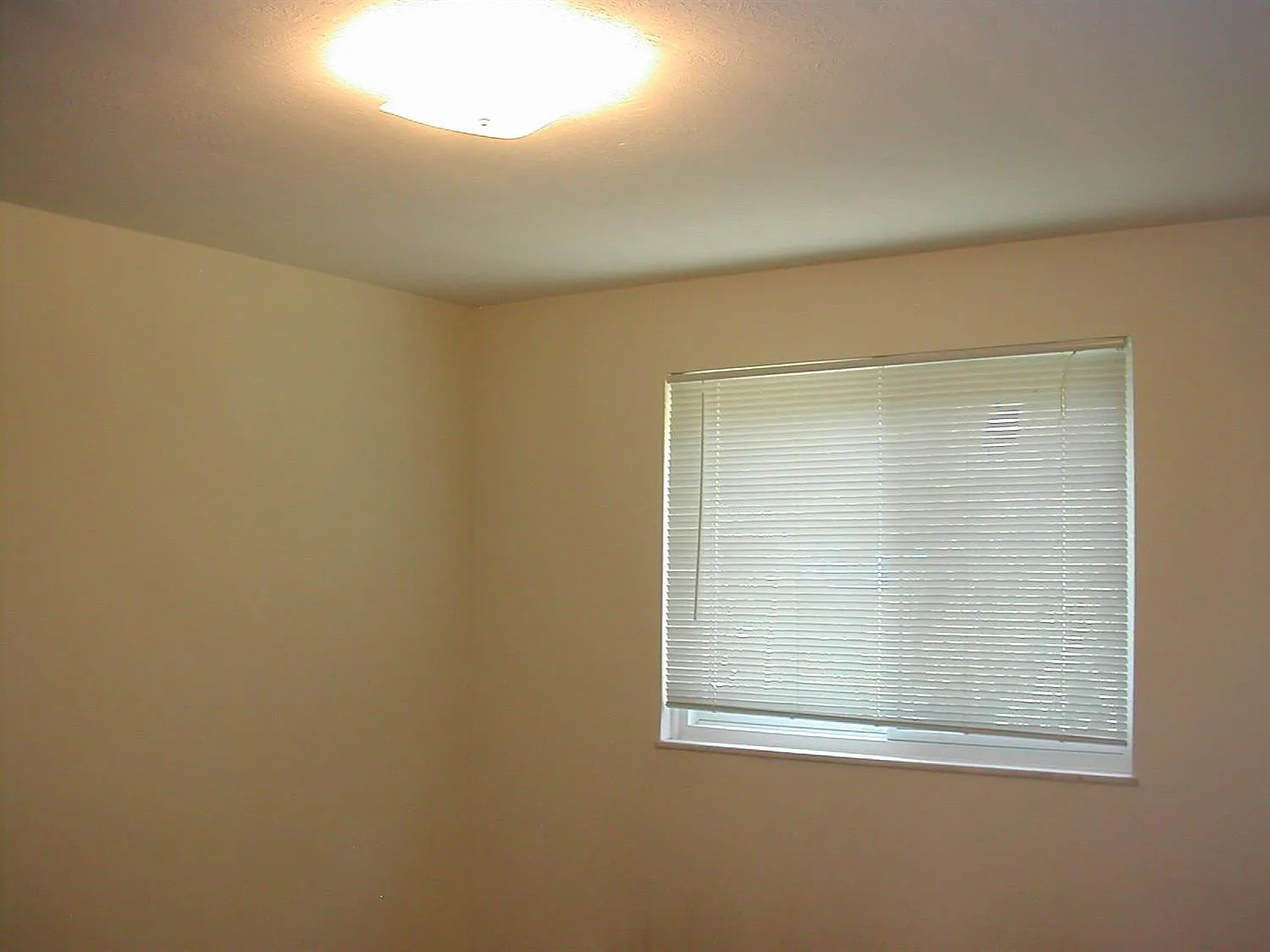 2 bed, 1.0 bath, 1824 sqft, $1,800 — Photo 3