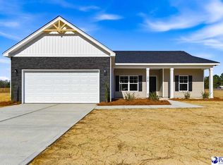 278 Lexyryan Ct, Latta, SC 29565