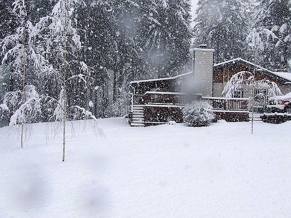 A rare Oregon snowfall