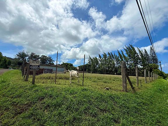 4th image of 1630 Kauhikoa Rd