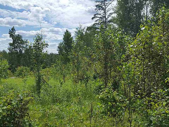 5th image of XXX County Rd 46