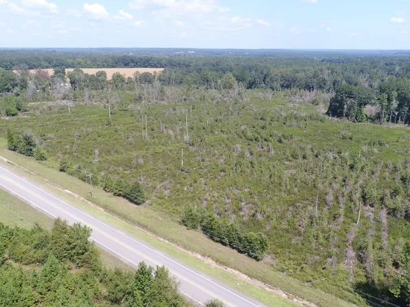0 Highway 331, Luverne, AL 36049