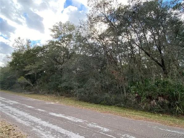 827 N Star Blaze Dr, Crystal River, FL 34428