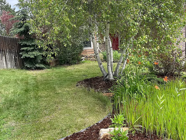 318 Dunne Dr — Photo 10