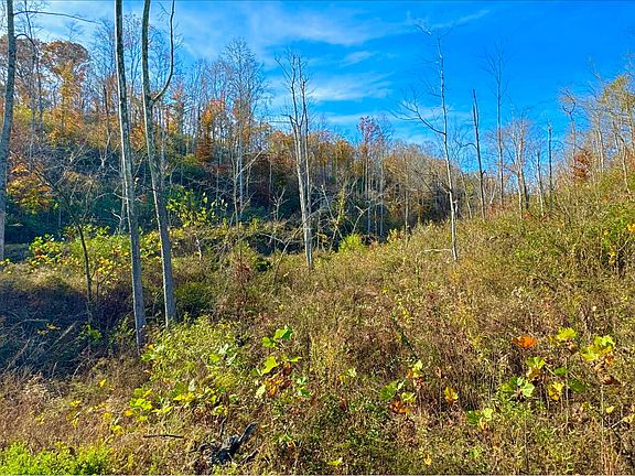 2nd image of 9108 S State Highway 501 Tract 2-C