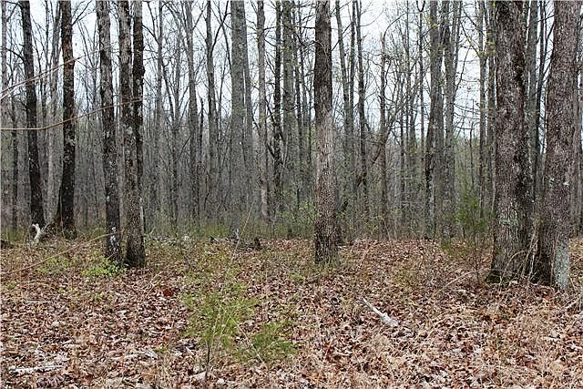 2nd image of 0 Big Spring Creek Rd