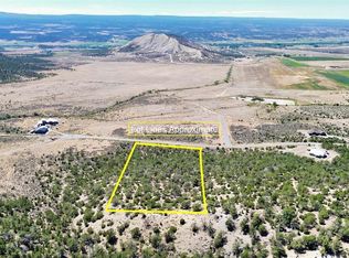 LOT 21 7250th Rd, Montrose, CO 81403