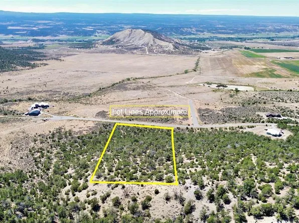 TBD Lot 21 7250 Road, Montrose, CO 81403