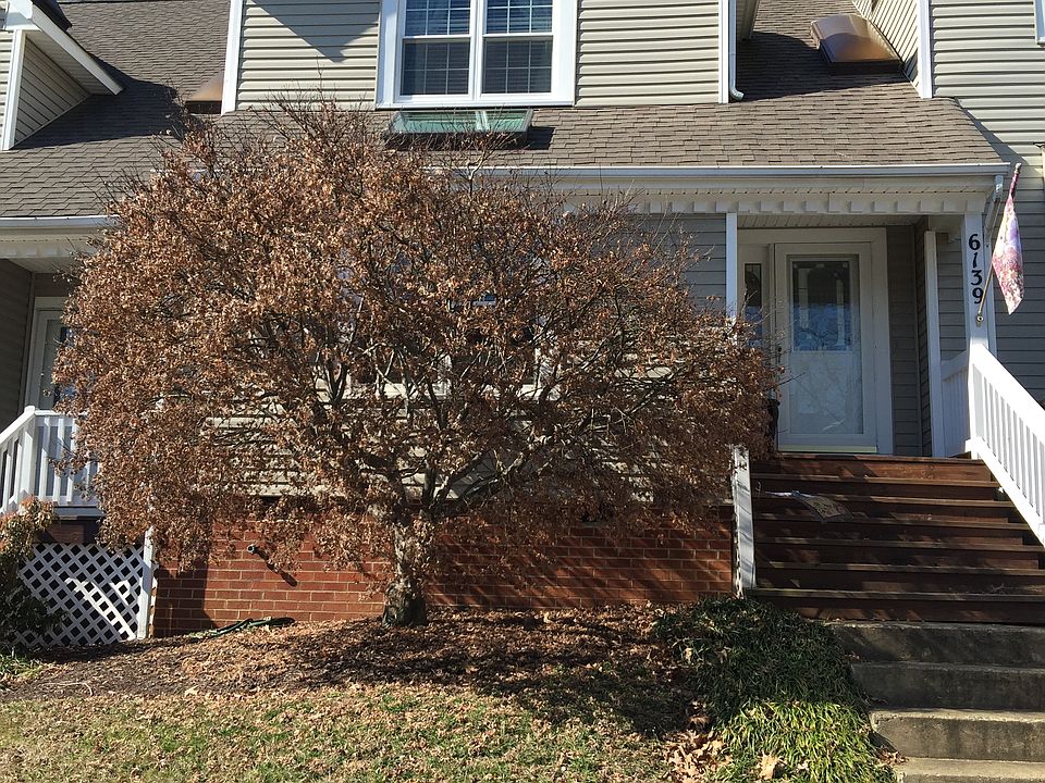 1st image of 6139 Rolling Forest Cir